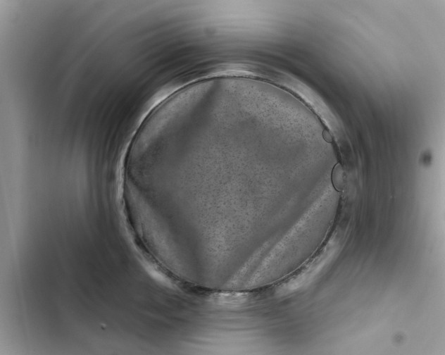 X0000102340858200808151726