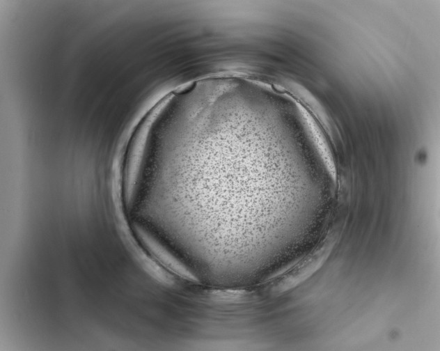 X0000102340859200808151726