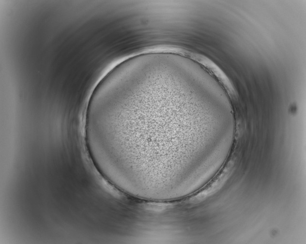 X0000102340860200808151726