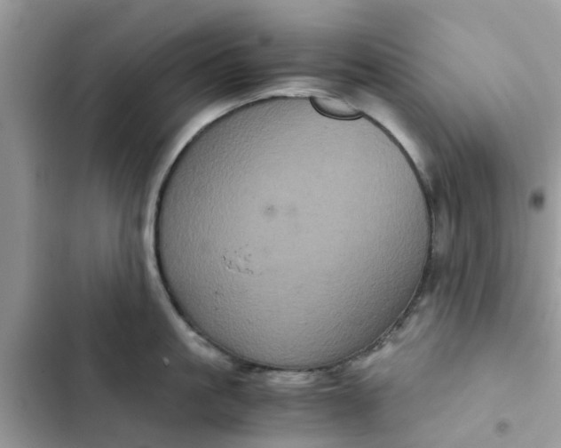 X0000102340861200808151726