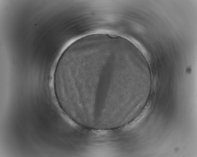 X0000102340862200808151726