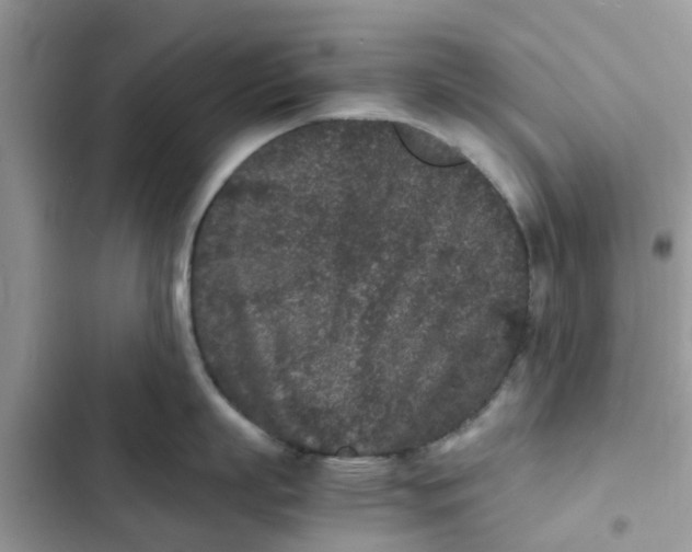 X0000102340863200808151726