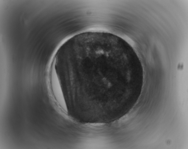 X0000102340864200808151726