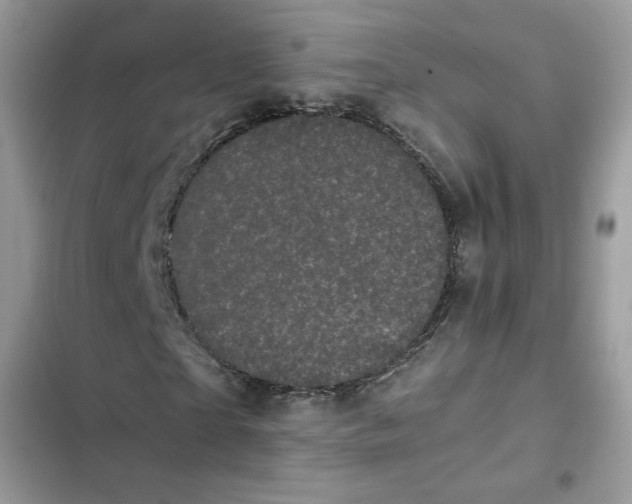 X0000102340865200808151726