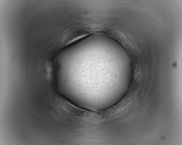 X0000102340866200808151726