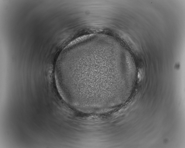 X0000102340867200808151726