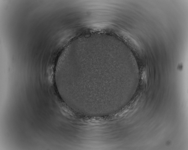 X0000102340868200808151725