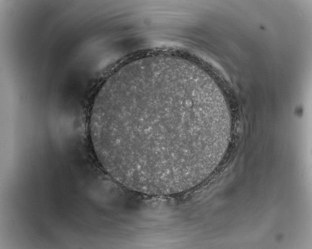 X0000102340869200808151725