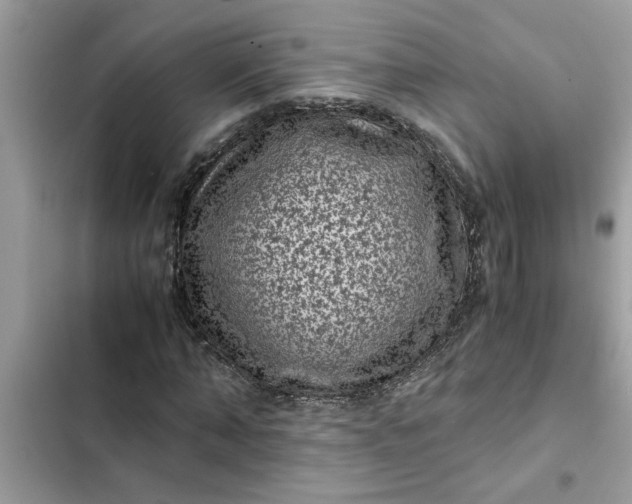 X0000102340870200808151725