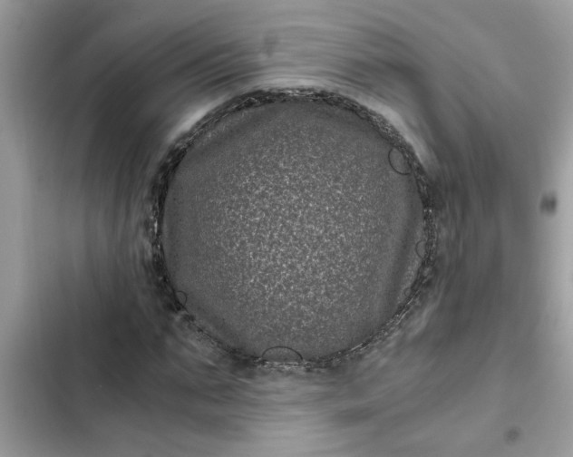 X0000102340871200808151725