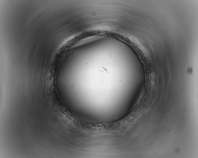 X0000102340872200808151725