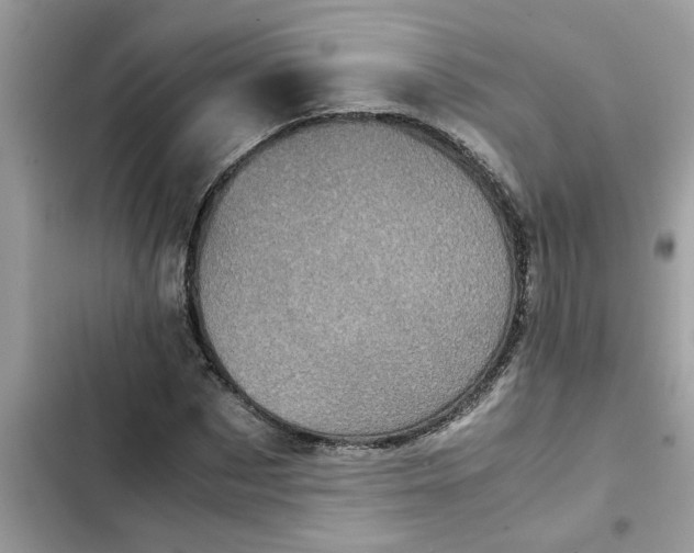 X0000102340873200808151725