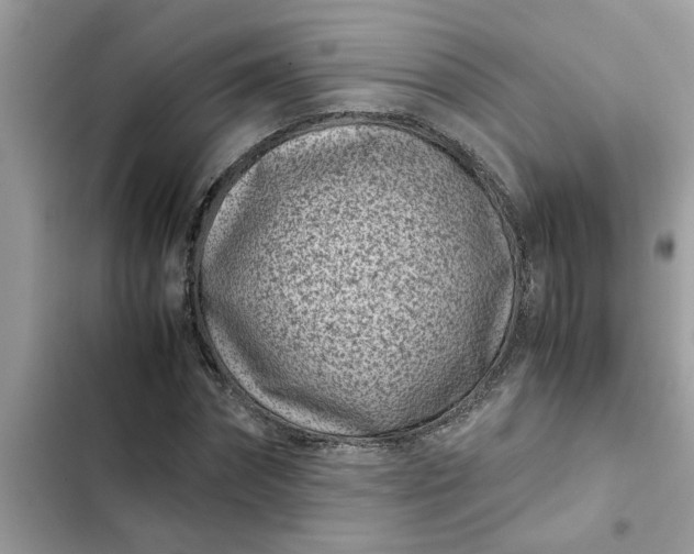 X0000102340874200808151725