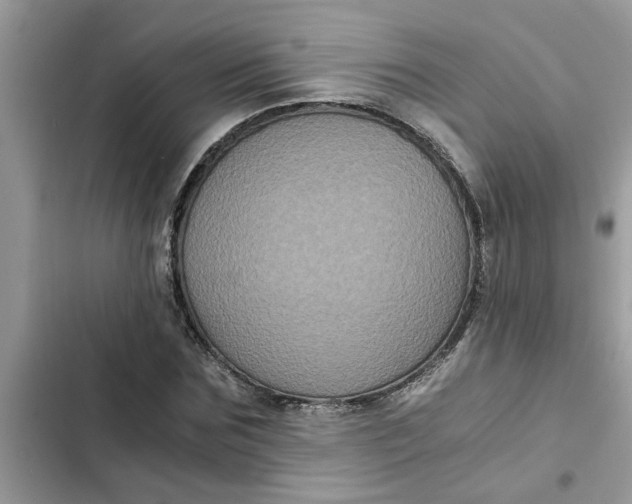 X0000102340875200808151725