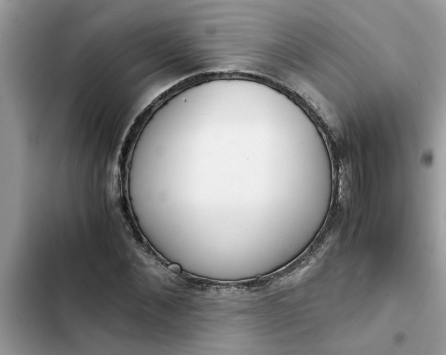 X0000102340876200808151725