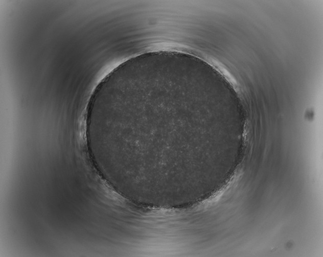 X0000102340877200808151725