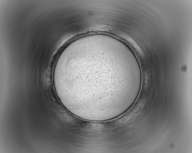 X0000102340878200808151725