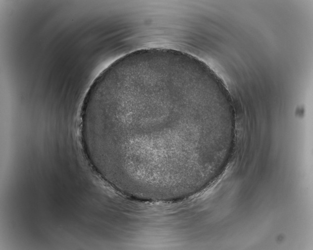 X0000102340879200808151725