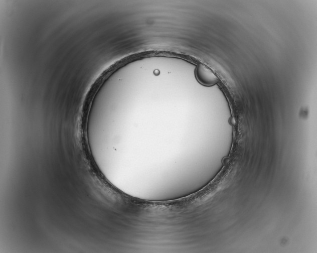 X0000102340880200808151725