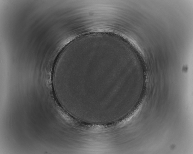 X0000102340881200808151725