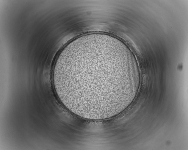 X0000102340882200808151725