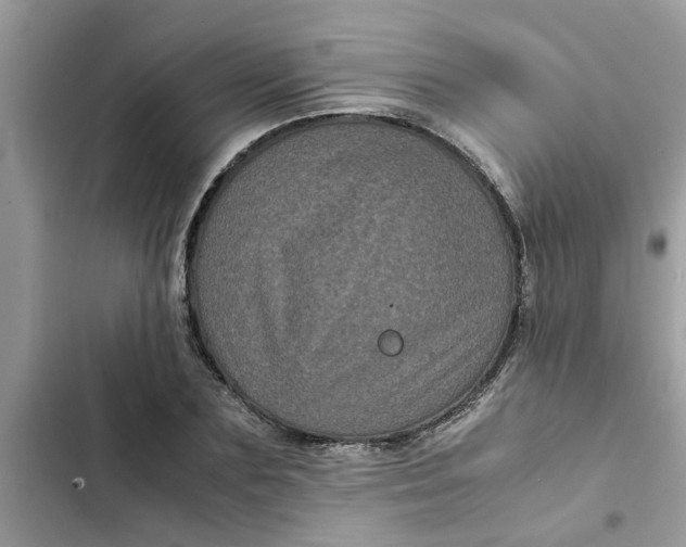 X0000102340883200808151725