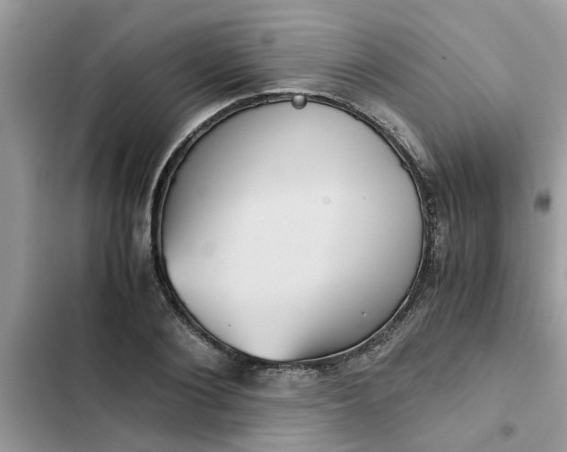 X0000102340884200808151725