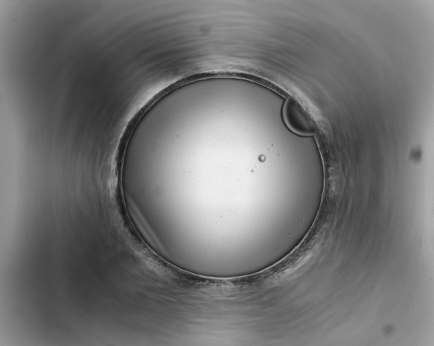 X0000102340885200808151725