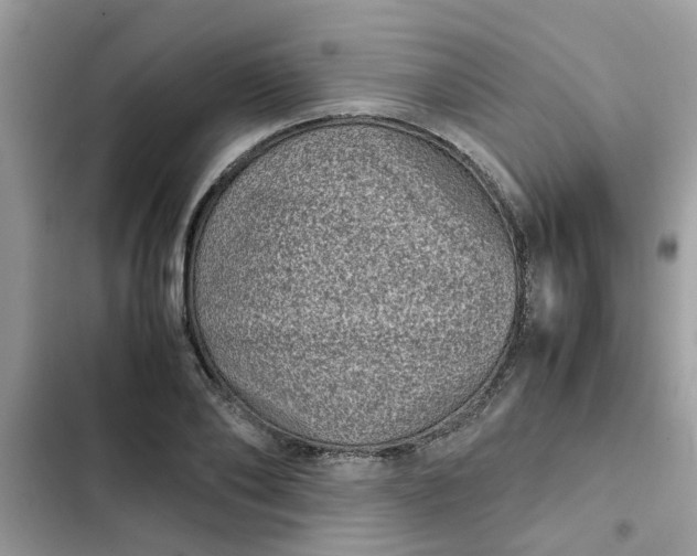 X0000102340886200808151725