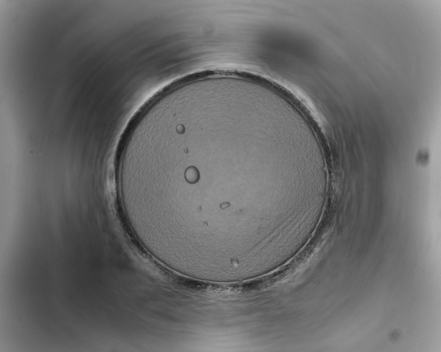 X0000102340887200808151725