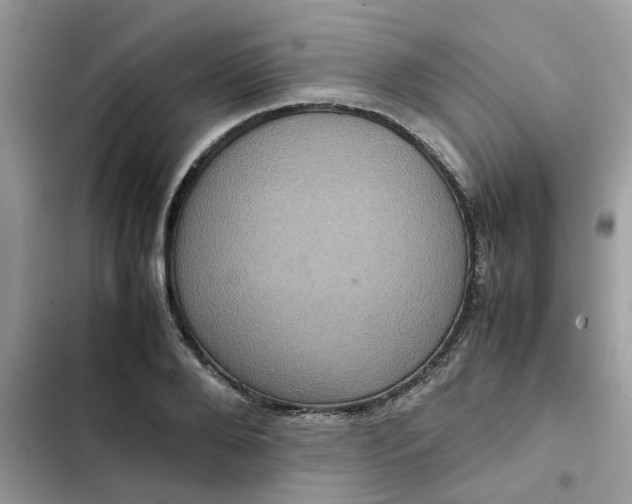 X0000102340888200808151725