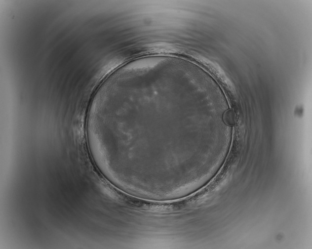 X0000102340889200808151725