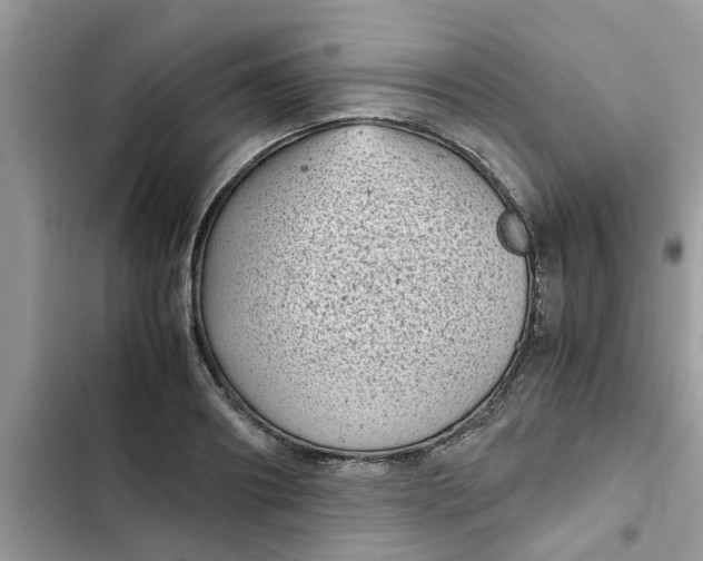 X0000102340890200808151725