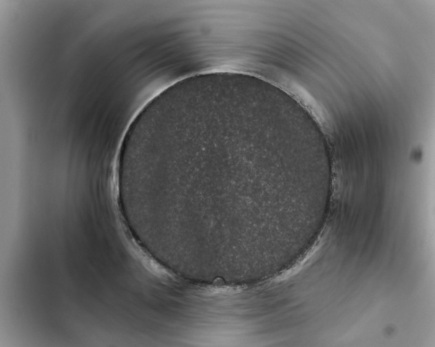 X0000102340892200808151725