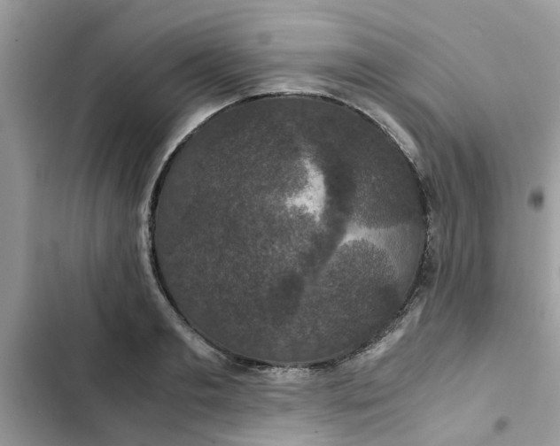 X0000102340893200808151725