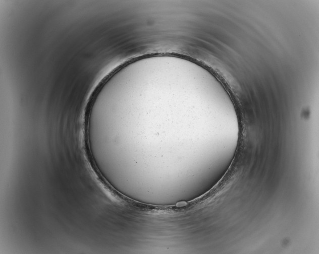 X0000102340894200808151725