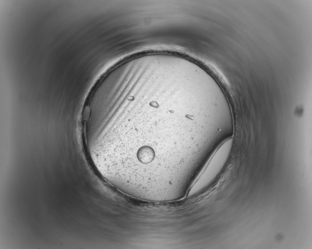 X0000102340895200808151725