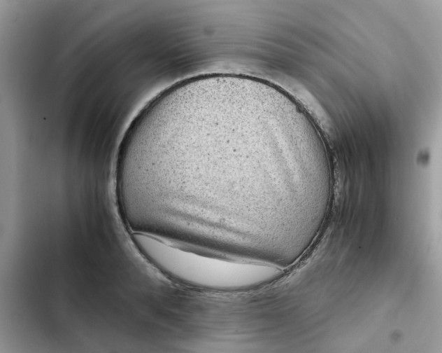 X0000102340896200808151725