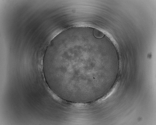 X0000102340897200808151725