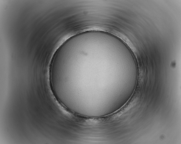 X0000102340898200808151725