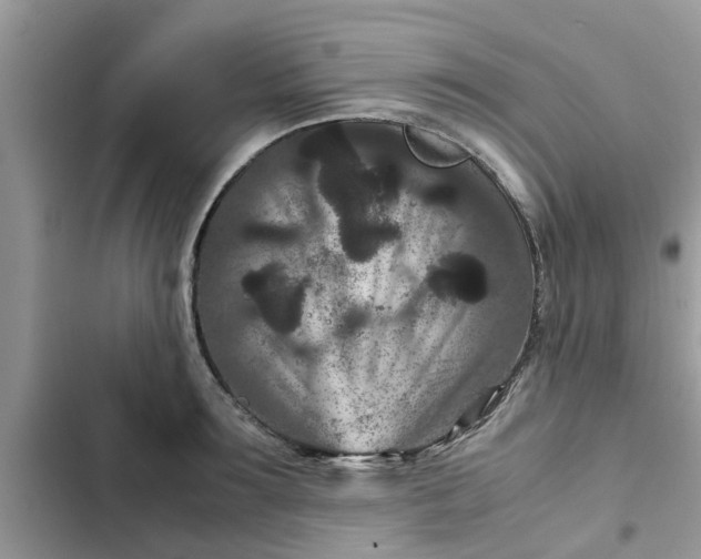 X0000102340899200808151725