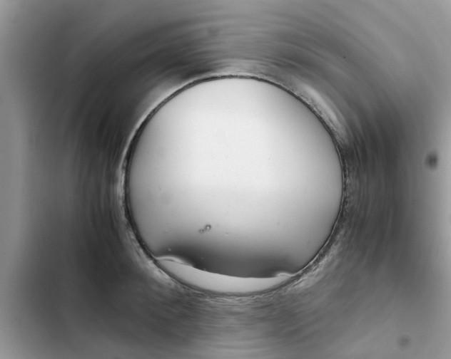 X0000102340900200808151725