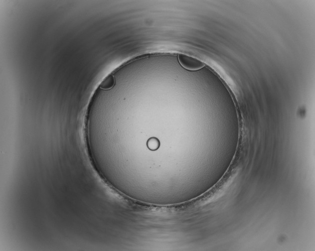 X0000102340901200808151725