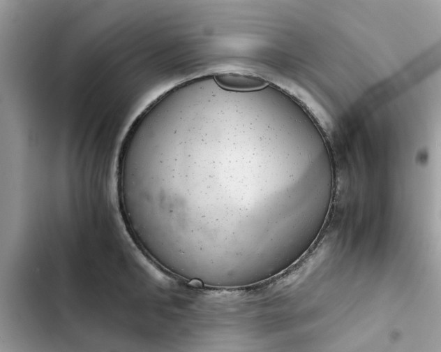 X0000102340902200808151725