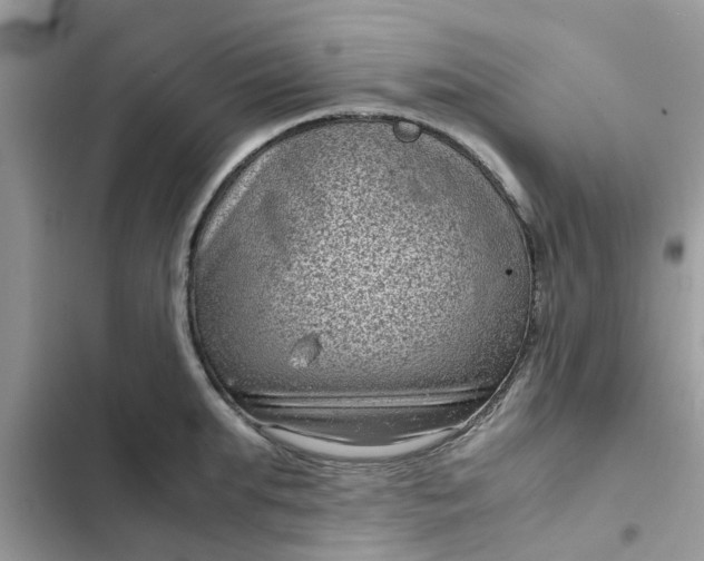 X0000102340903200808151725