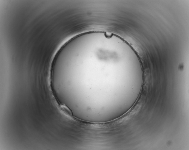 X0000102340904200808151725