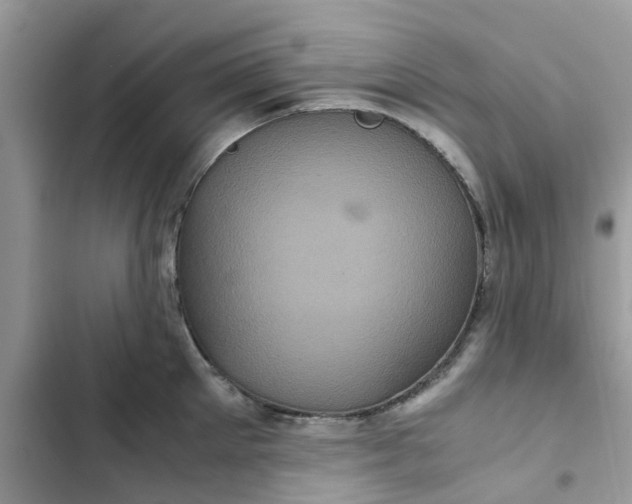 X0000102340905200808151725