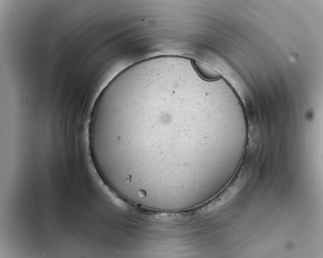 X0000102340906200808151725