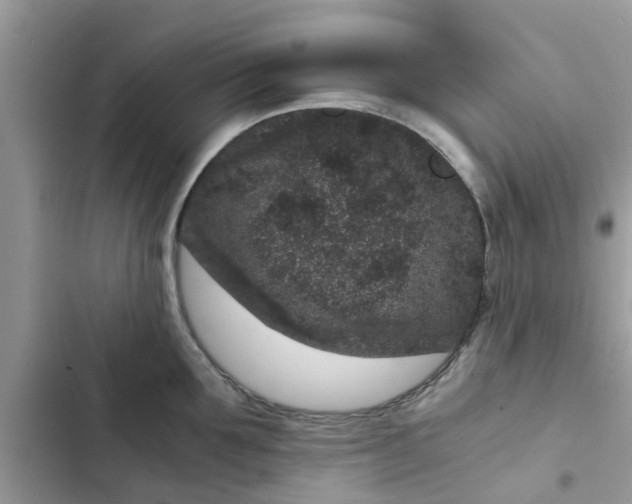 X0000102340907200808151725