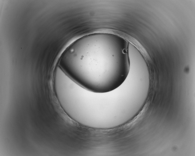 X0000102340908200808151725